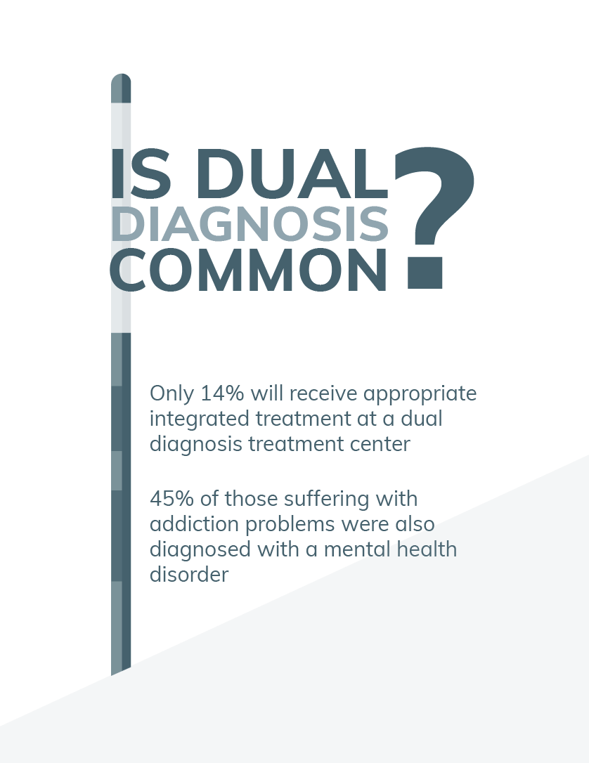 Integrated Treatment Guide For Dual Diagnosis Of Co Occurring Disorders